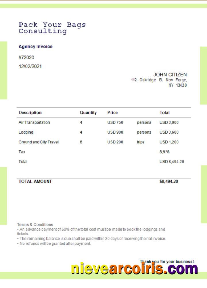 USA Pack Your Bags Consulting invoice